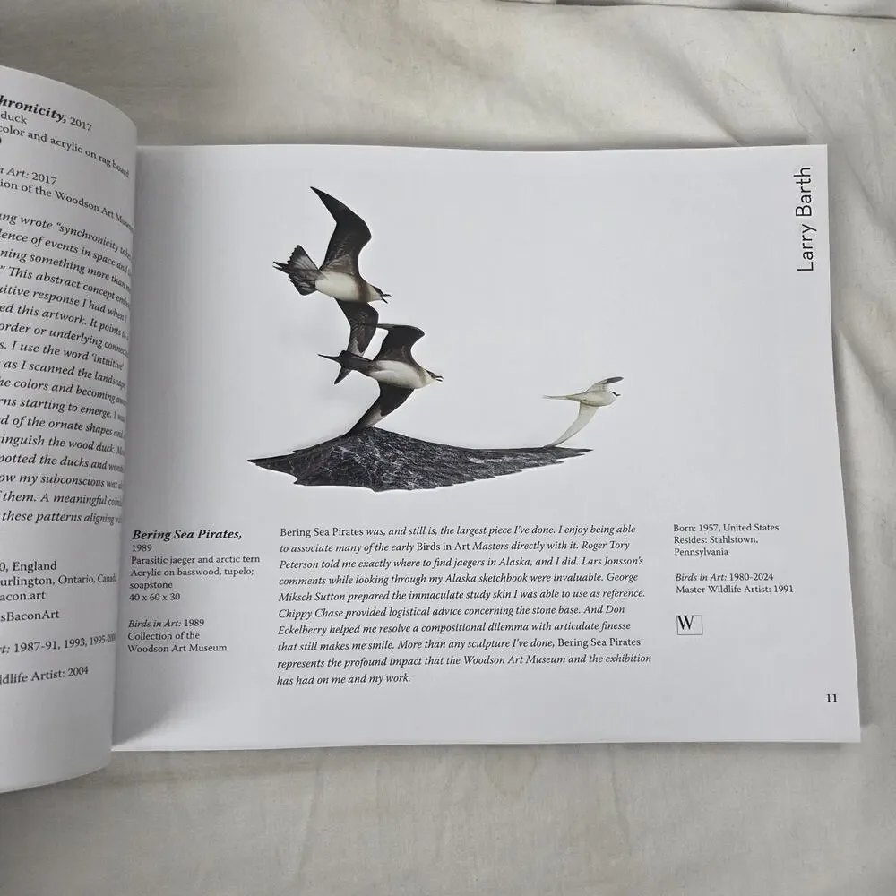 N/A birds art